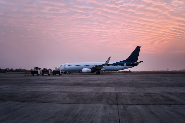 El avión se encuentra con el túnel en el aeropuerto. La aeronave está preparada para la salida del aeródromo. Carritos de equipaje en la pista del aeropuerto.