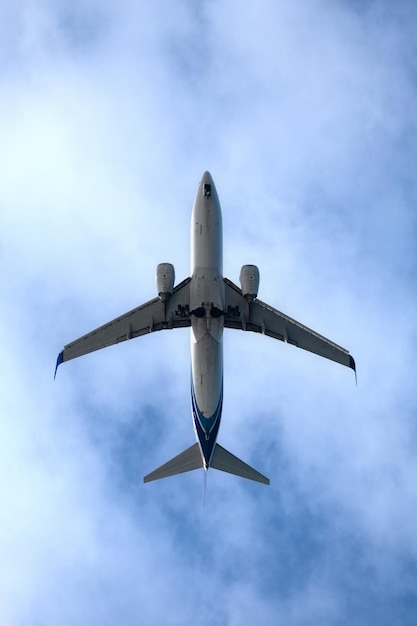 Avión de fuselaje estrecho Twinjet visto desde abajo