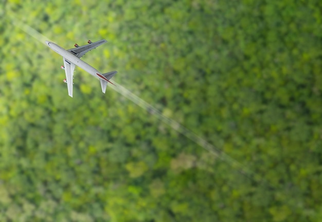 El avión vuela sobre el bosque.