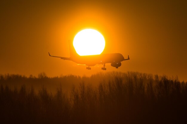 El avión vuela sobre el disco solar por la mañana al aterrizar.