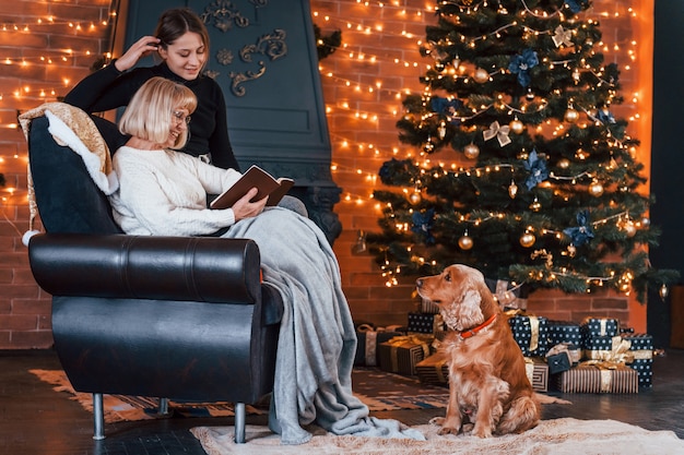 Avó com livro na mão e jovem dentro de casa com cachorro na sala decorada de Natal.