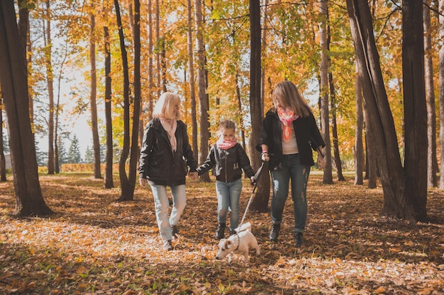 Avó e mãe com a neta caminham juntas no parque outono e se divertem geração