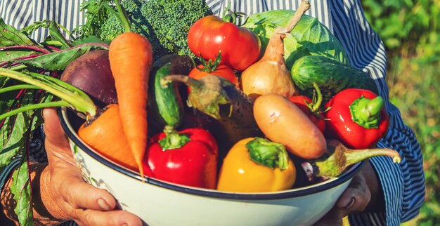 Avó no jardim com legumes nas mãos dela