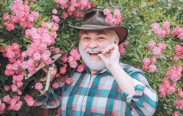 Avô trabalhando no jardim sobre fundo de rosas avô desfrutando no jardim com flores