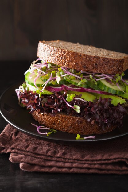 Avocado-Gurkensandwich mit Zwiebeln und Radieschensprossen