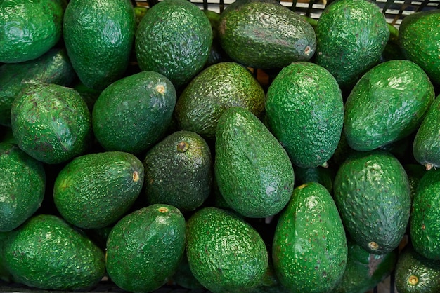 Avocados, die auf einem Markt zum Verkauf in ein Regal gestellt werden