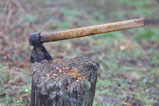 Axt im Baumstumpf im Freien