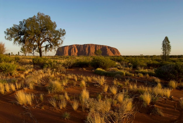 Ayers Rock genannt Uluru magischer Felsen der Aborigines Yulara Ayers Rock nördliche Gebiete