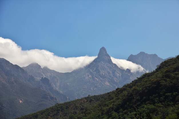 Ayhaft canyon, ilha de socotra, oceano índico, iêmen