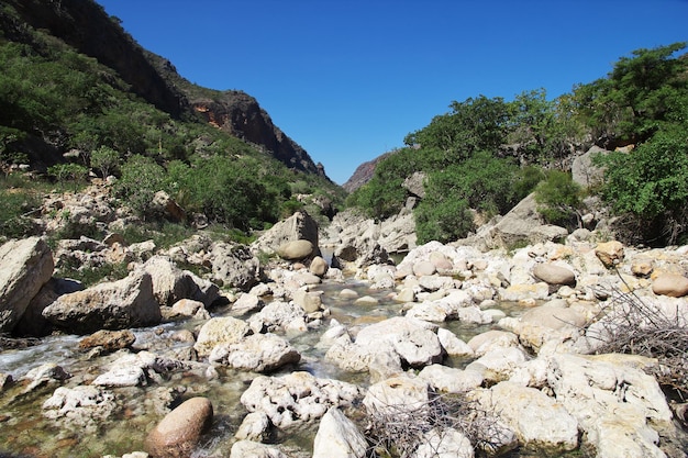 Ayhaft Canyon isla de Socotra océano Índico Yemen