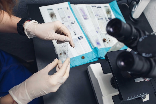 Ayudante de laboratorio prepara una muestra para examinarla con un microscopio.
