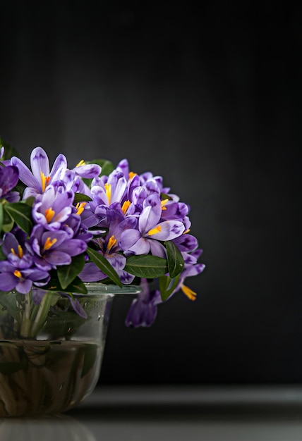 Azafrán de primavera en florero