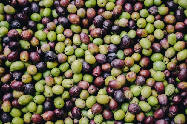 Azeitonas recém-colhidas como alimentos saudáveis no mercado