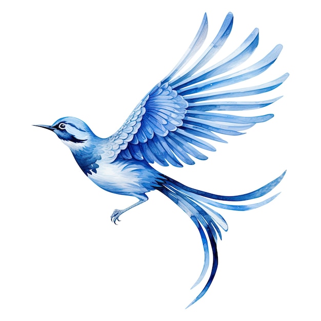 Azul y blanco acuarela pájaro ornamento chinoiserie arte vintage