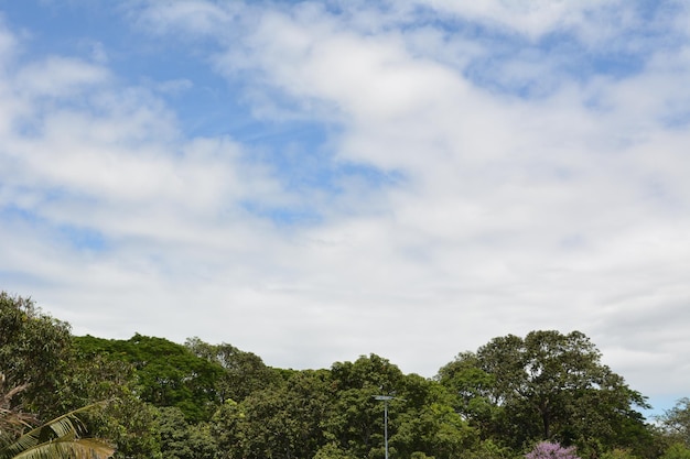 azul cielo nube buen tiempo medio ambiente