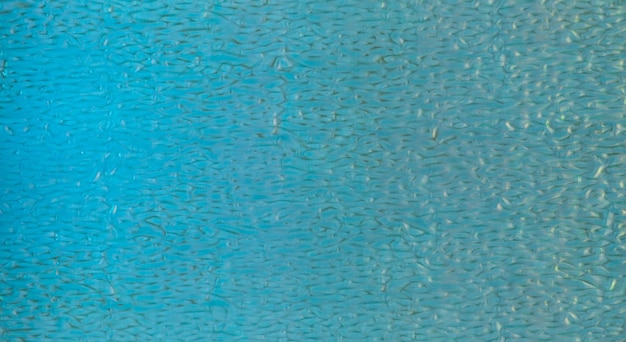 Azulejo de mosaico azul clásico en la piscina