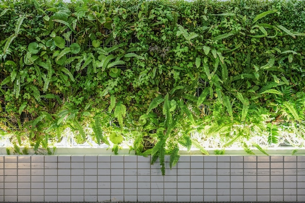 Azulejos de mosaico y planta verde en la pared