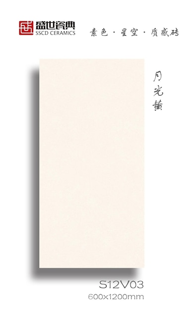 azulejos de porcelana blancos de 600 x 1200 mm