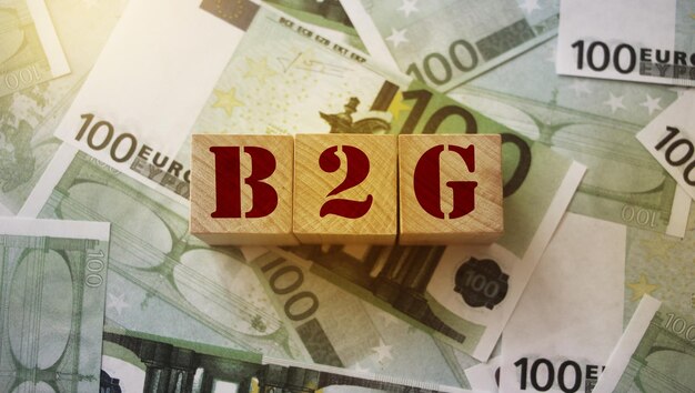 B2G für Business-to-Government auf Holzwürfeln über 100 Euro-Banknoten Business-Marketing-Management-Konzept