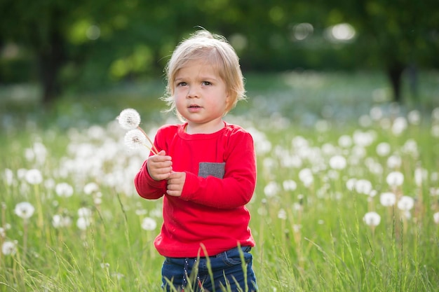 Baby auf der Wiese Kleines Kind mit einem Löwenzahn in den Händen auf der grünen Wiese