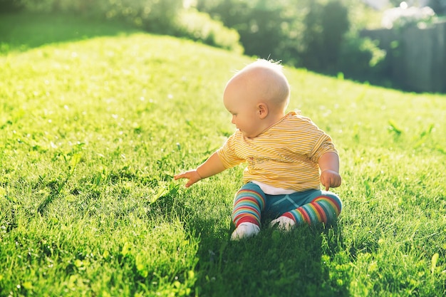 Baby auf Natur im Sonnenlicht Entzückendes kleines Mädchen im grünen Gras im Sommer Bild der Kindheit