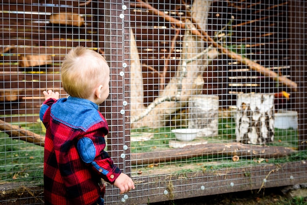 Baby Boy buscando animal en jaula