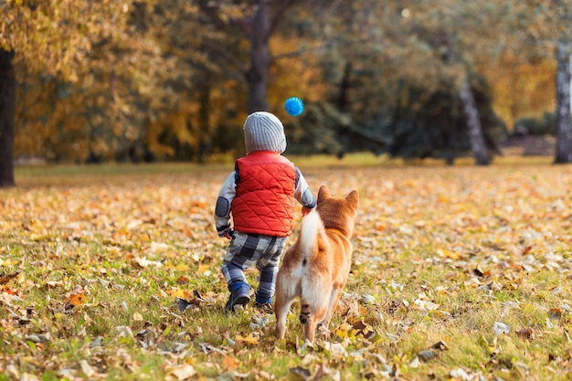 Baby, das mit seinem roten Hund auf dem Rasen im Herbstpark spielt. Shiba Inu Welpe und Kind sind beste Freunde, Fröhlichkeit und unbeschwertes Kindheitskonzept