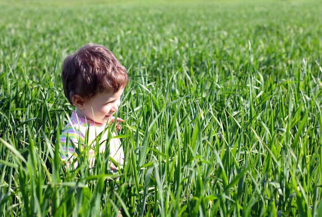 Foto baby im hohen grünen gras