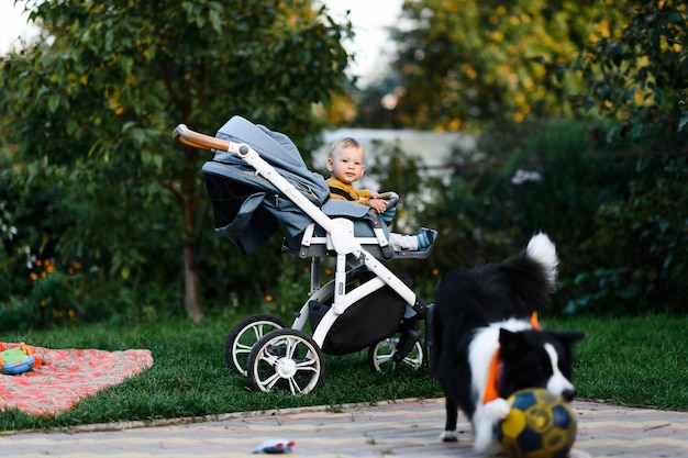 Foto baby im kinderwagen und spielender hund