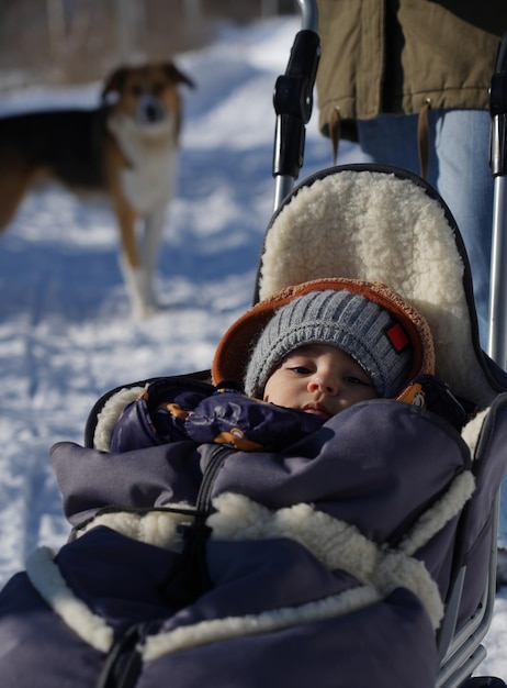 Baby im warmen Schnee Schlitten und Hund im Hintergrund