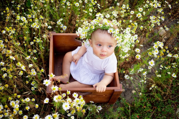 Baby in Gänseblümchen, kleines Mädchen in einem Gänseblümchenkranz im Sommer auf dem Rasen
