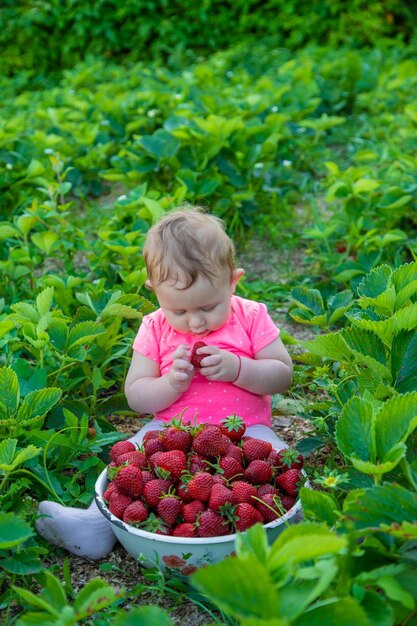 Baby isst Erdbeeren im Garten Selektiver Fokus