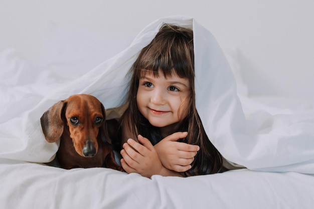 Baby kleines Mädchen umarmt Dackelhund zu Hause im Bett. weiße Bettwäsche. Liebe für Haustiere