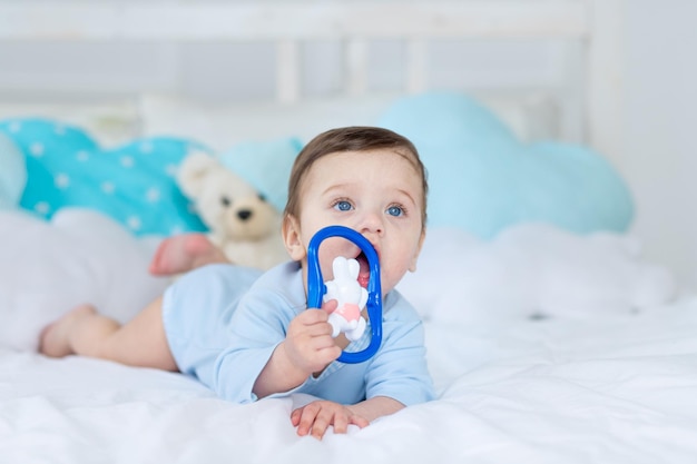 Baby mit einem Nagetier zum Zahnen oder einer Rassel auf dem Bett zum Schlafen, gesundes, glückliches kleines Baby in einem blauen Body spielen