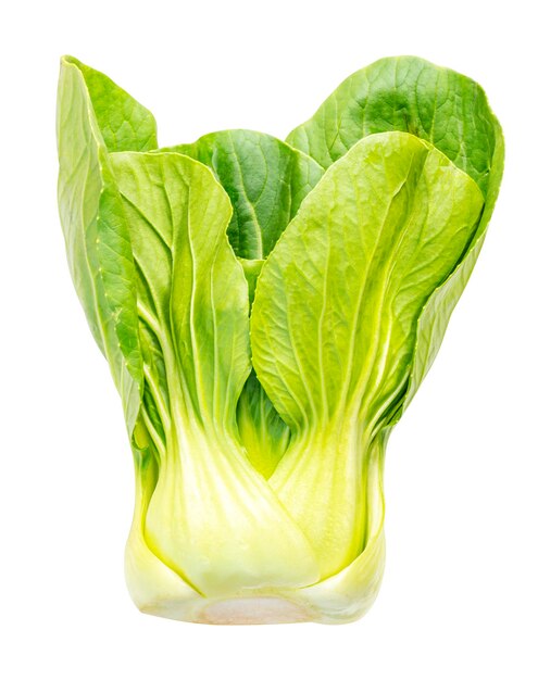 Baby Pak Choi vegetal aislado en fondo blanco con camino de corte