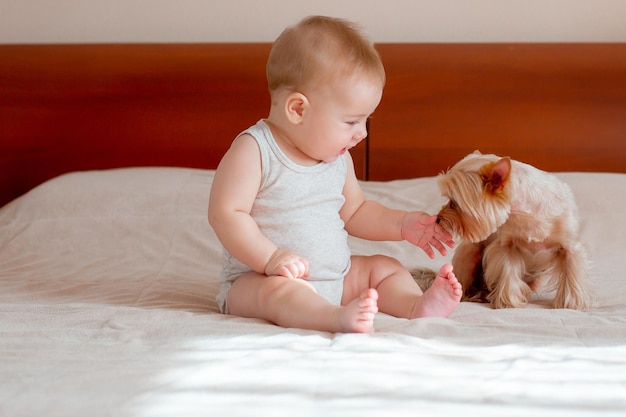 Baby spielt im Schlafzimmer auf dem Bett mit seinem Hund