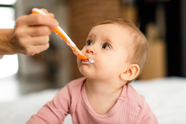 Babyfütterung Süßes kleines Mädchen, das vom Löffel isst, fürsorgliche Mutter, die ihrem hungrigen Kleinkind gesunde Nahrung gibt