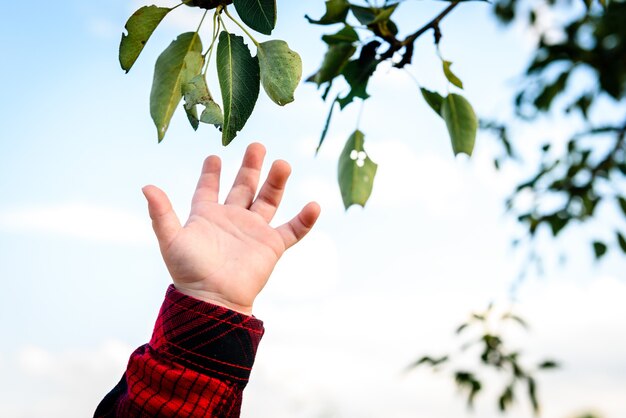 Foto babyhand im roten hemd draußen