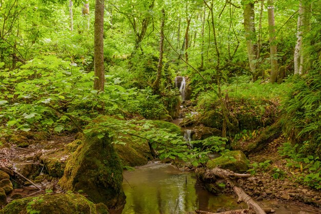 Bach am Fuße einer Bergschlucht