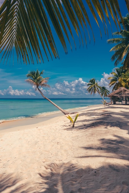 Foto bach caribeño con casa de coco