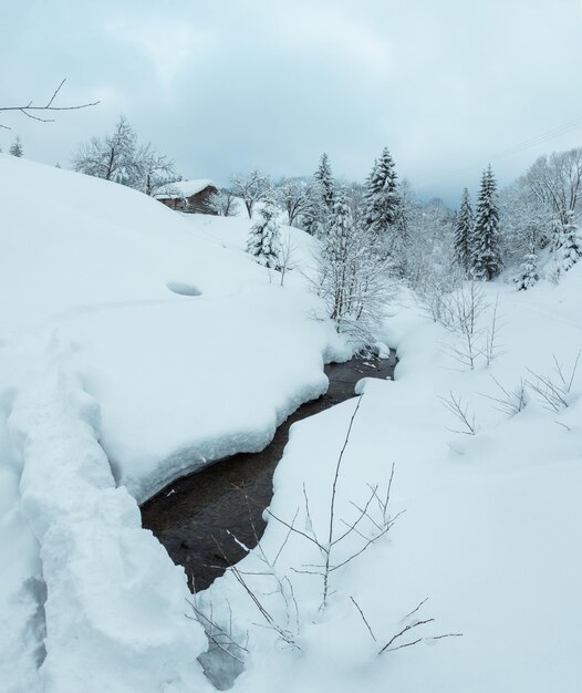 Bach im Winter Karpaten