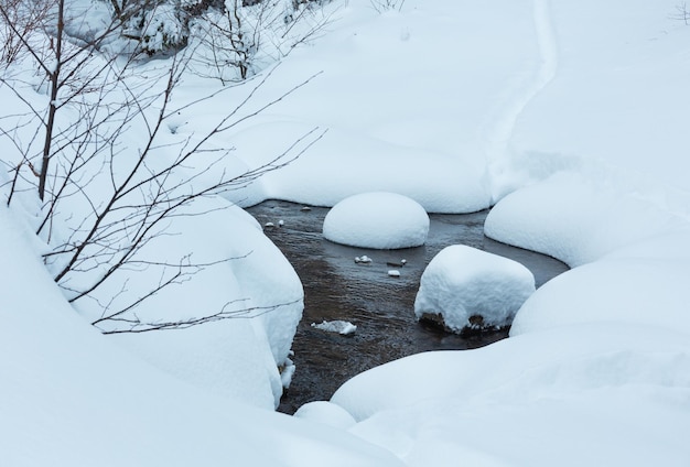 Bach im Winter Ukrainische Karpaten