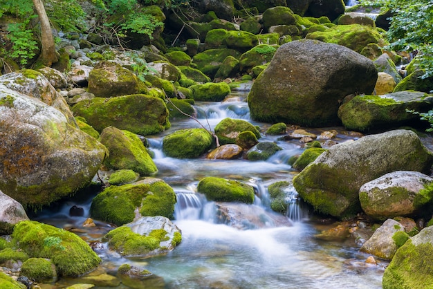 Bach in den ligurischen Alpen