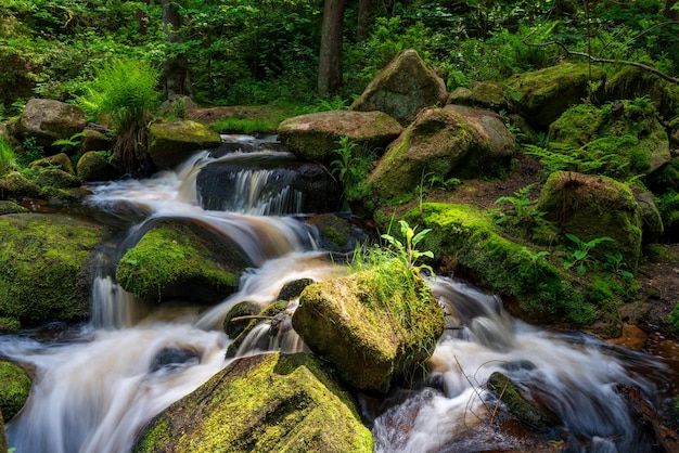 Bach in einem grünen Wald an warmen Sommertagen Nationalpark Peak District