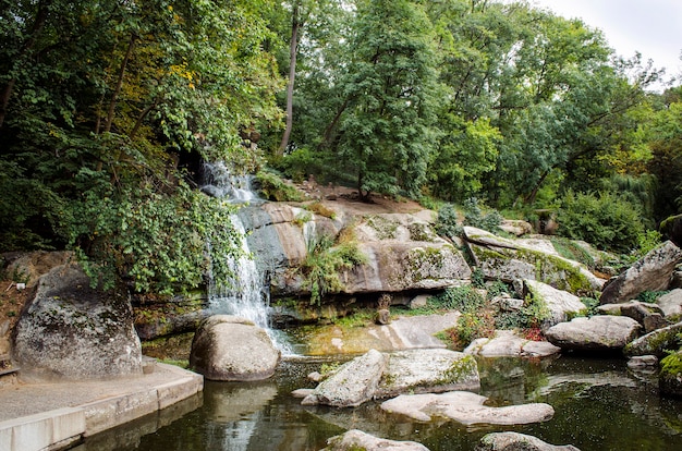 Bach mit Wasser im Herbst im Wald