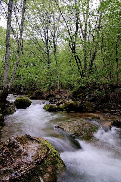 Bach mit Wasserfall und bemoosten Steinen herum