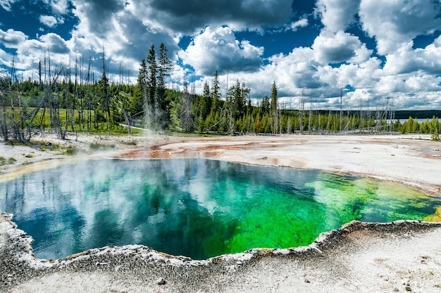 Bacia de água quente colorida e emanação de enxofre na área de West Thumb Geyser Basin Yellowstone