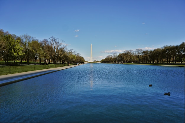 Bacia entre o obelisco e o lincoln memorial em washington dc, eua. a tarde estava ensolarada e alguns patos nadam na água