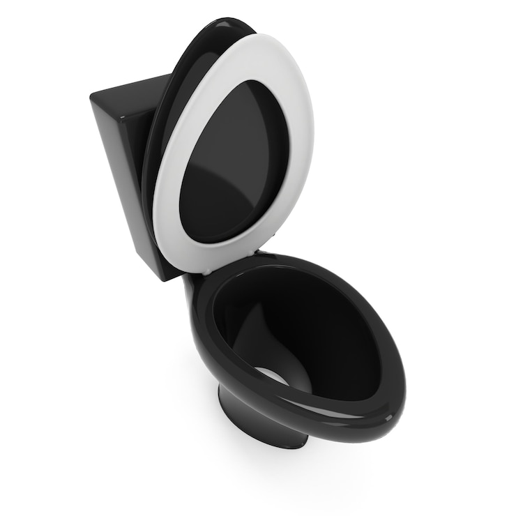 Foto bacia sanitária 3d
