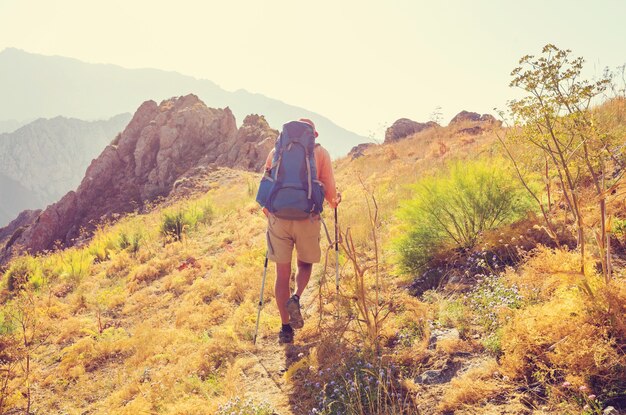 Backpacker in den Sommerbergen